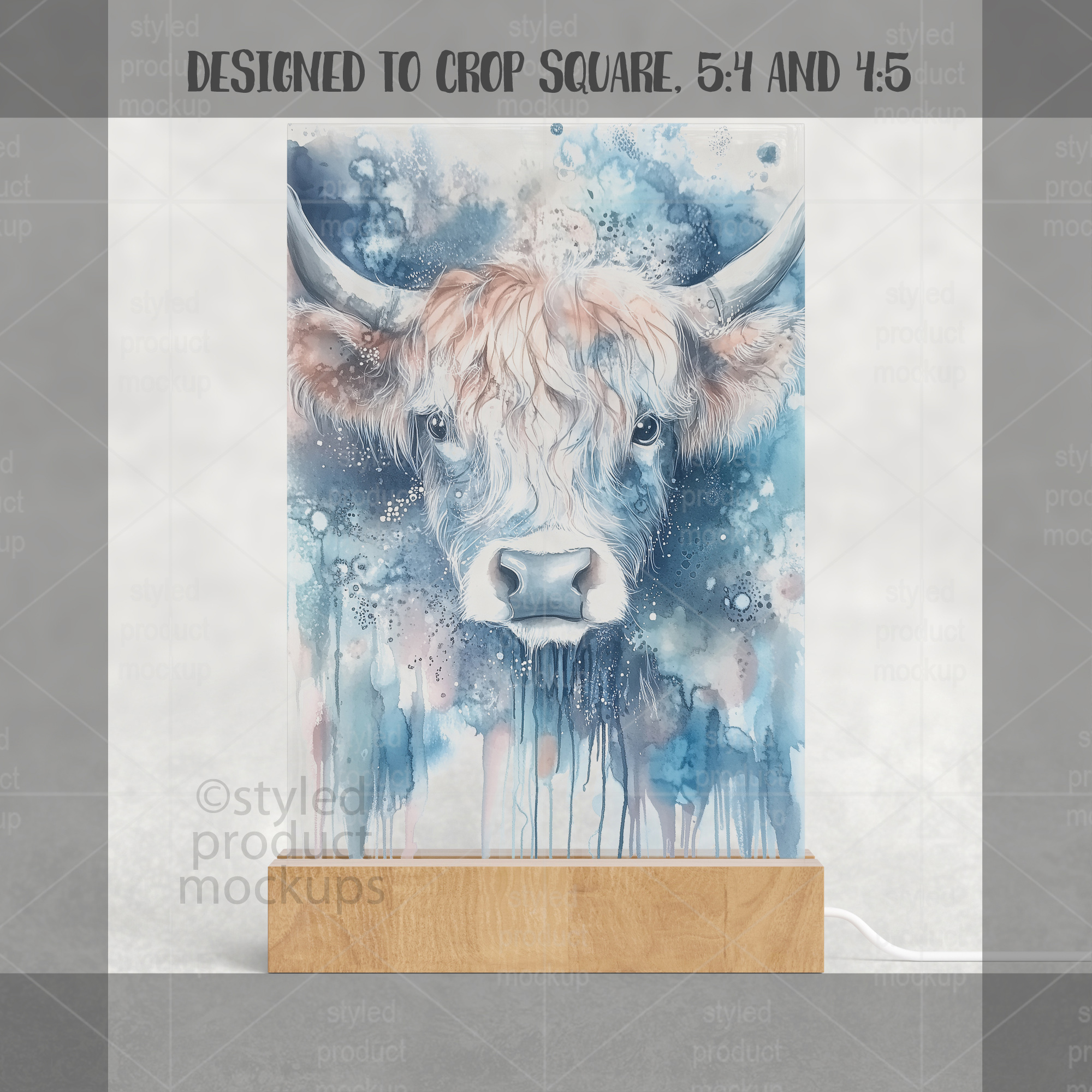 4x6 LED Plaque Mockup