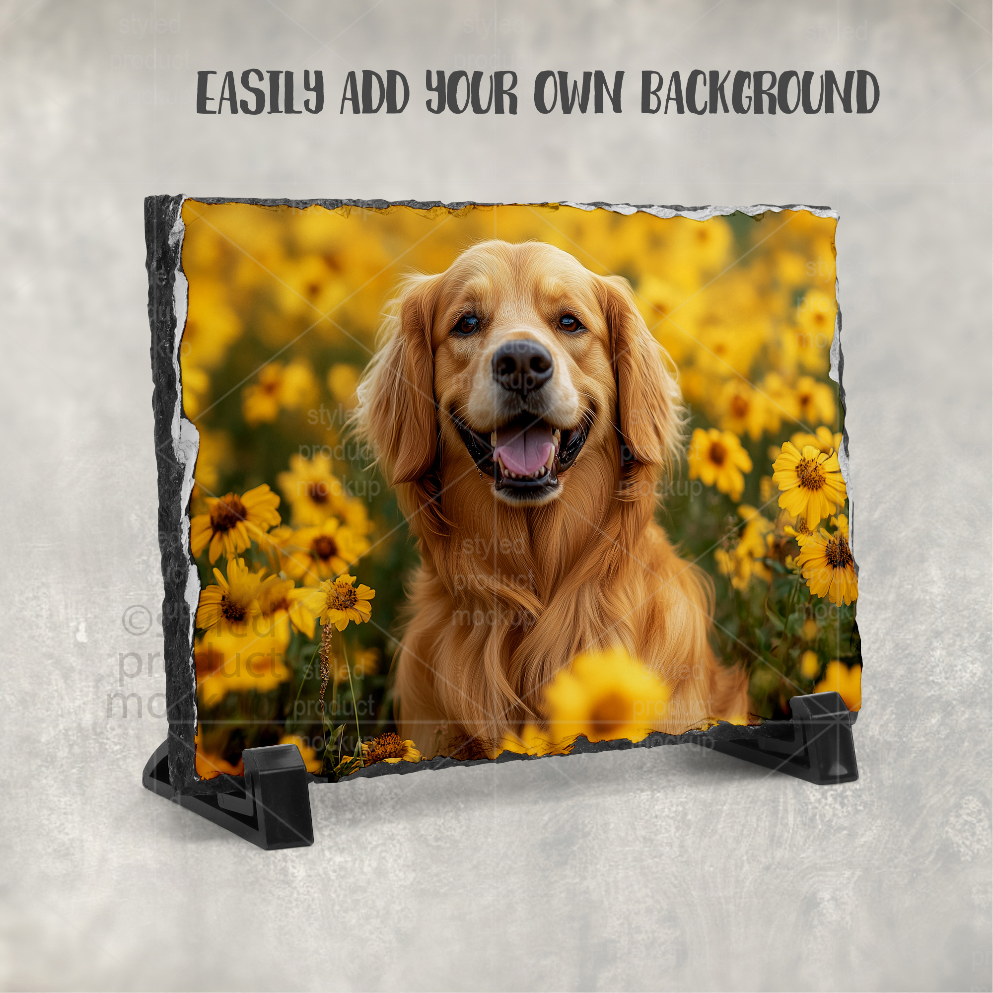 Horizontal Photo Slate Mockup